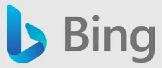 Bing